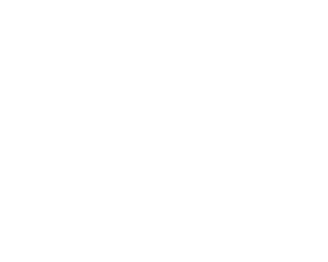 artifex