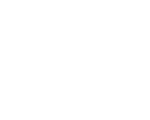 Zelta Zirgs