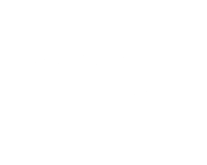 Sanart