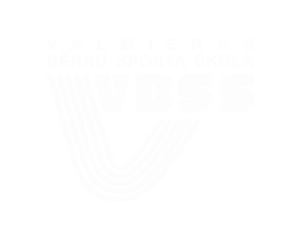 VBSS