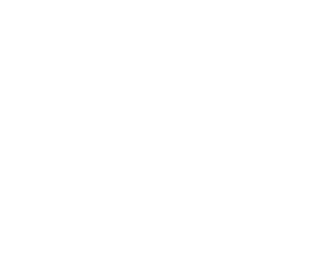 SIA VIA